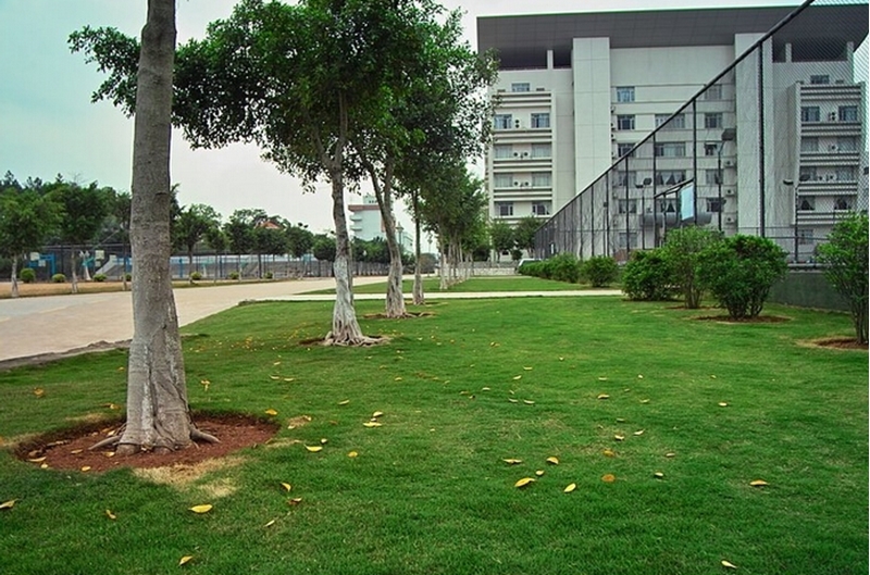 武警海警学院校园风景97236