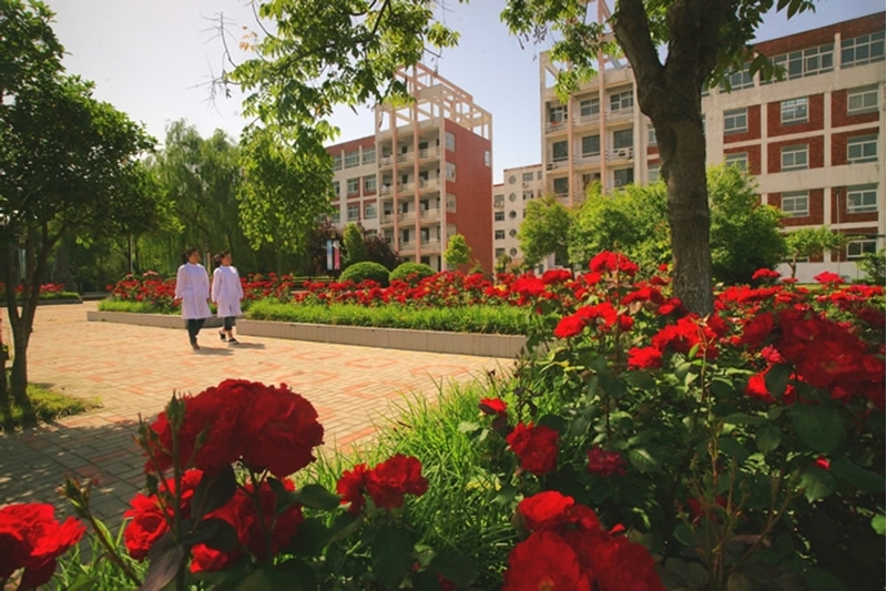 漯河医学高等专科学校校园风景(77470)