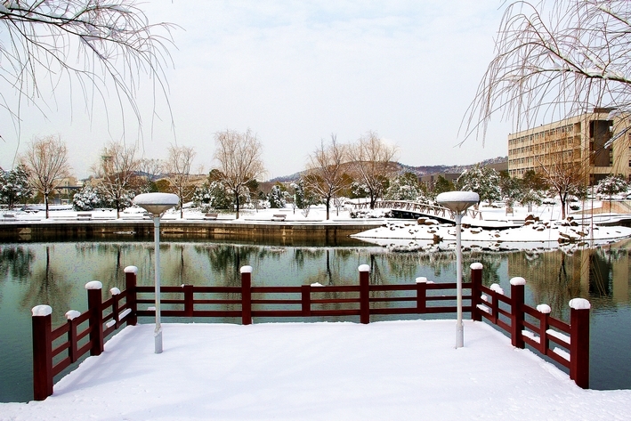 南京森林警察学院校园风景102659