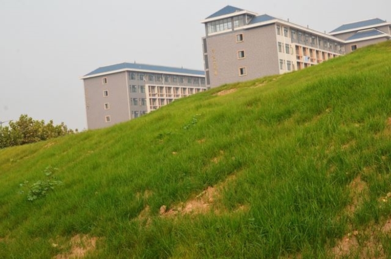 济南护理职业学院校园风景(106213)
