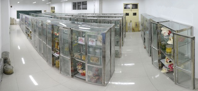 济南护理职业学院校园风景(106178)