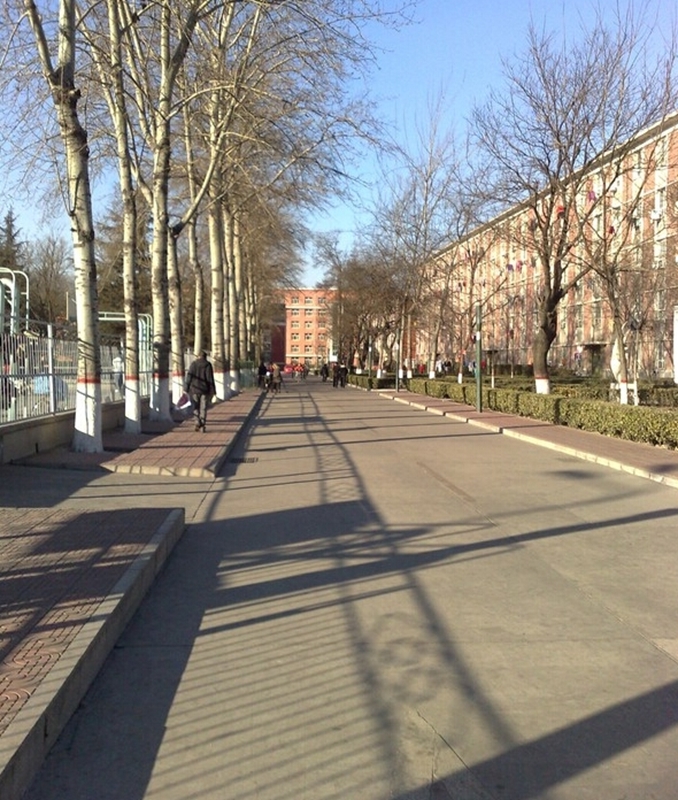 河北大学校园风景66920
