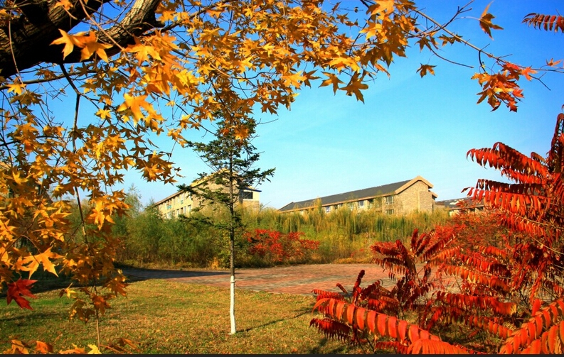 沈阳工学院校园风景71048