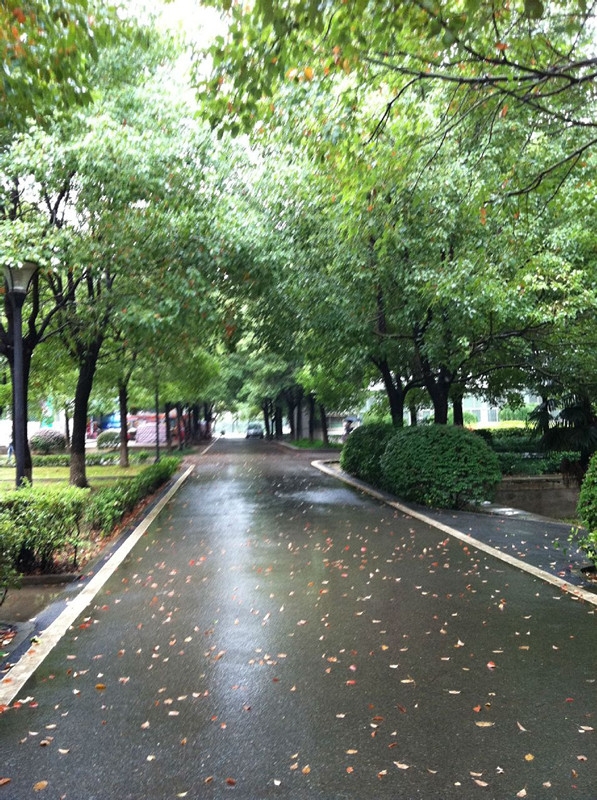 武汉纺织大学外经贸学院校园风景(89984)