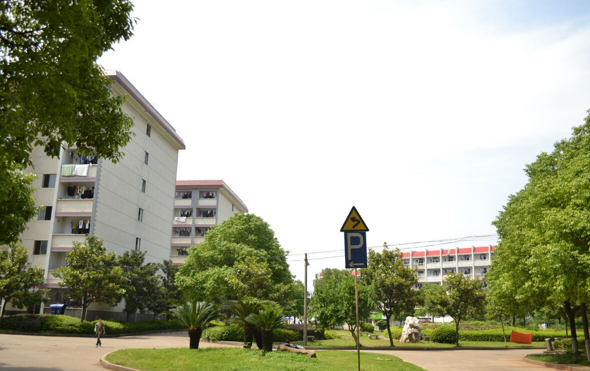 长沙理工大学城南学院校园风景100957