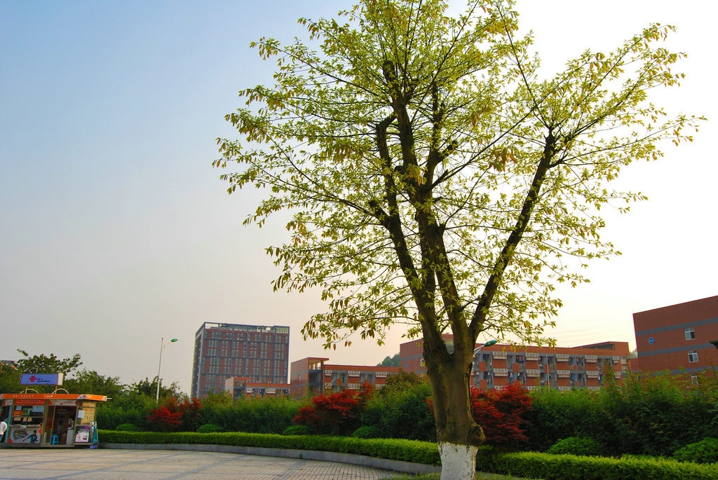 武警海警学院校园风景67535