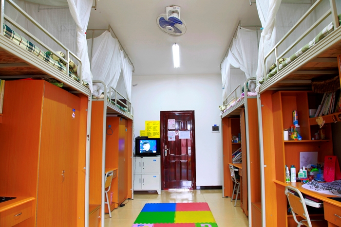 四川电影电视电影校园风景(86765)勇敢的心学院观后感图片