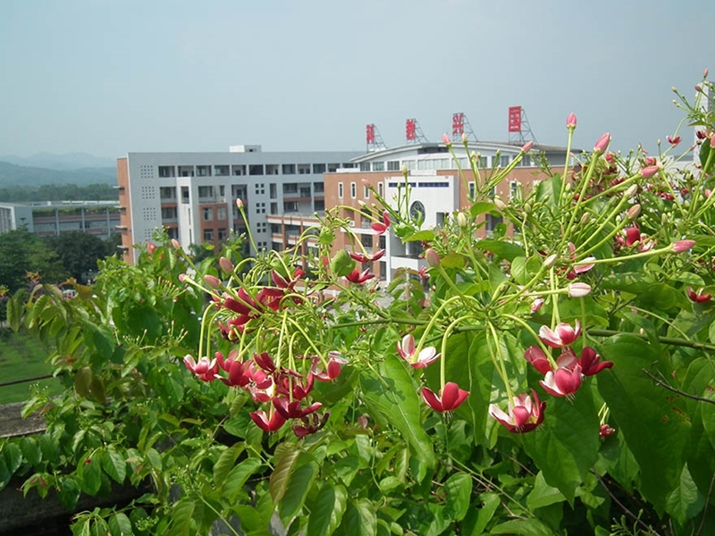 广州商学院校园风景77243