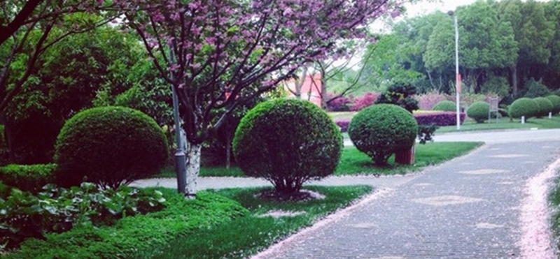 上海师范大学天华学院校园风景78923