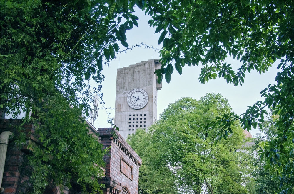 四川国际标榜职业学院校园风景88503