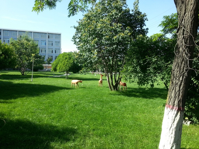 青海大学昆仑学院校园风景(90763)