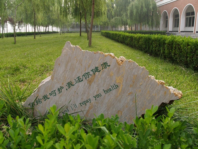 齐鲁理工学院校园风景94223