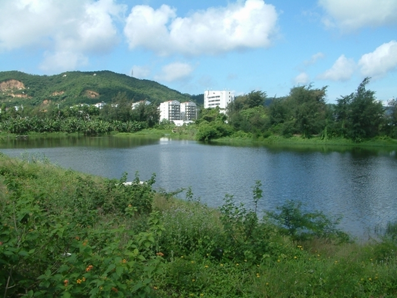 珠海科技学院校园风景103888