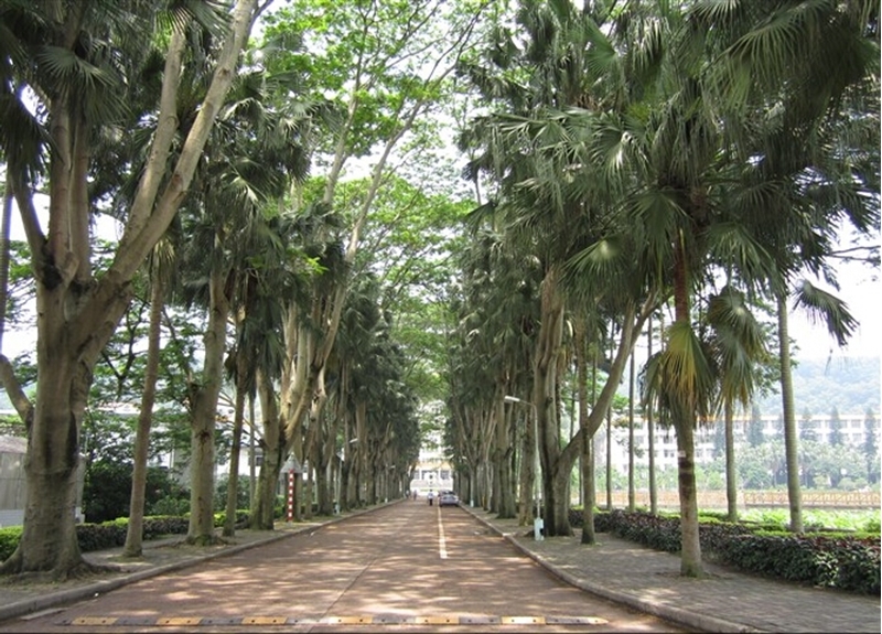 福建农林大学校园风景(119489)