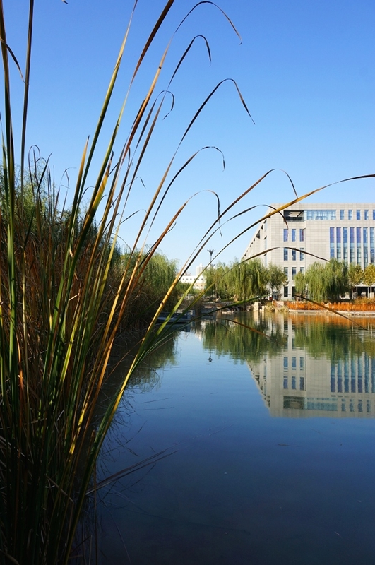 河北师范大学校园风景119454