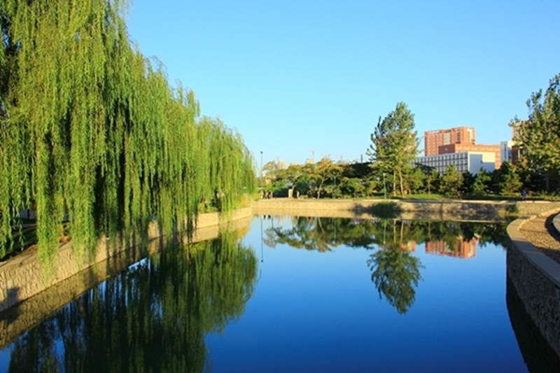 天津科技大学校园风景135449