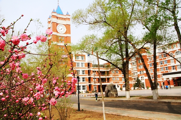 齐齐哈尔大学校园风景138121