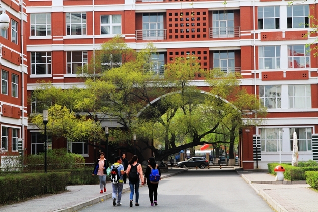 齐齐哈尔大学校园风景138081