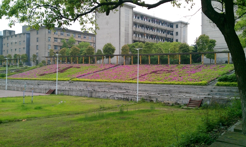 湖南财政经济学院校园风景(132014)