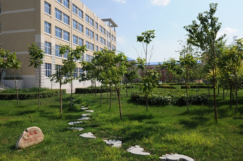 大庆师范学院校园风景(140785)