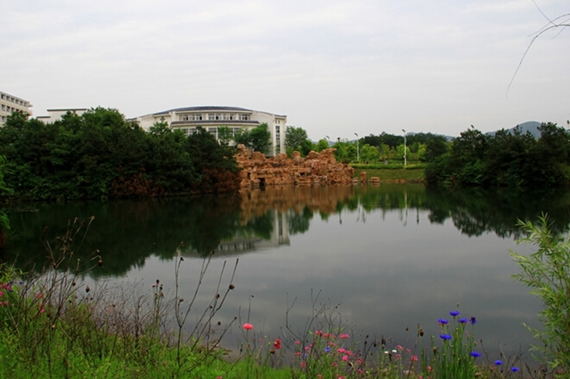 池州学院校园风景143903