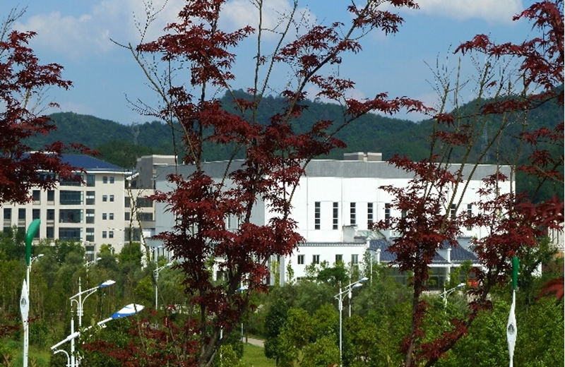 池州学院校园风景(144279)