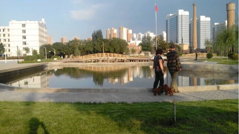 兰州城市学院校园风景(146088)