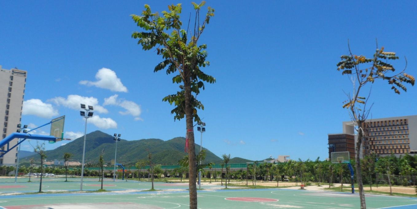 海南热带海洋学院校园风景(144313)