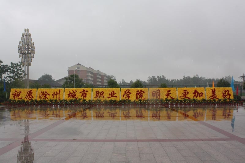 滁州城市职业学院校园风景132574