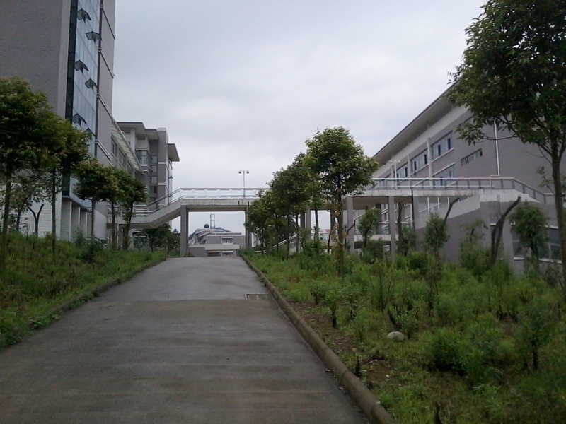 眉山职业技术学院校园风景146661
