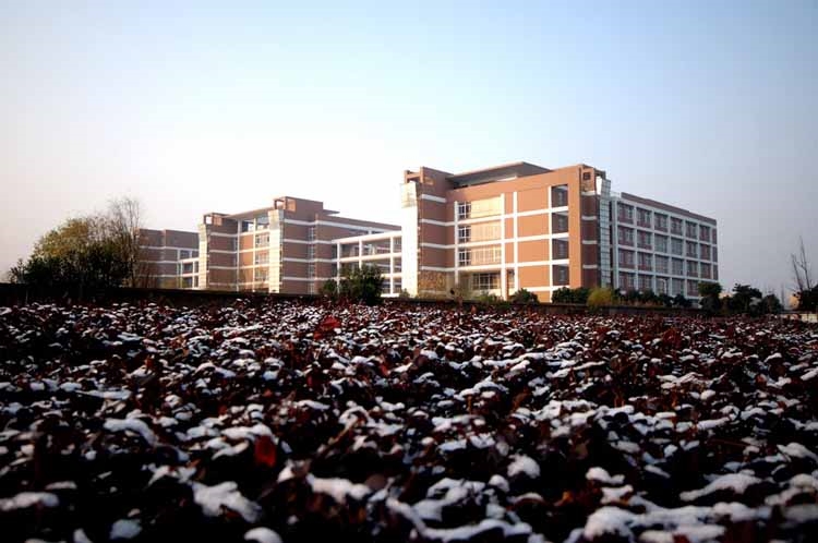 宁波大学科学技术学院校园风景(112567)