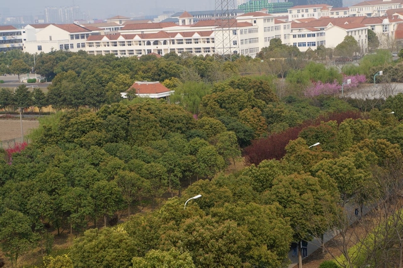 江阴职业技术学院校园风景(124121)