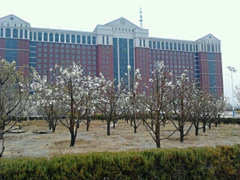 朔州师范高等专科学校校园风景119029