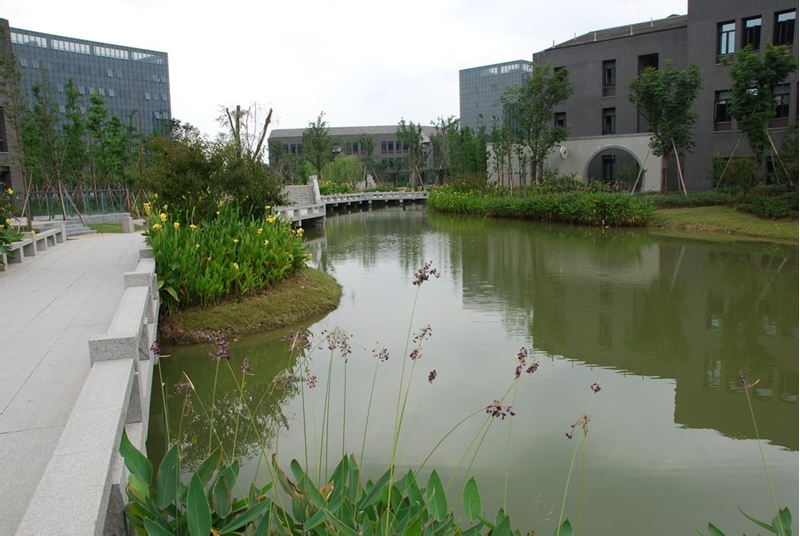 杭州师范大学校园风景148015