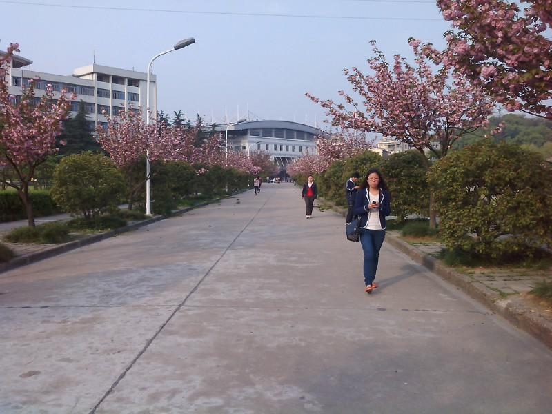 湖北师范大学校园风景147007