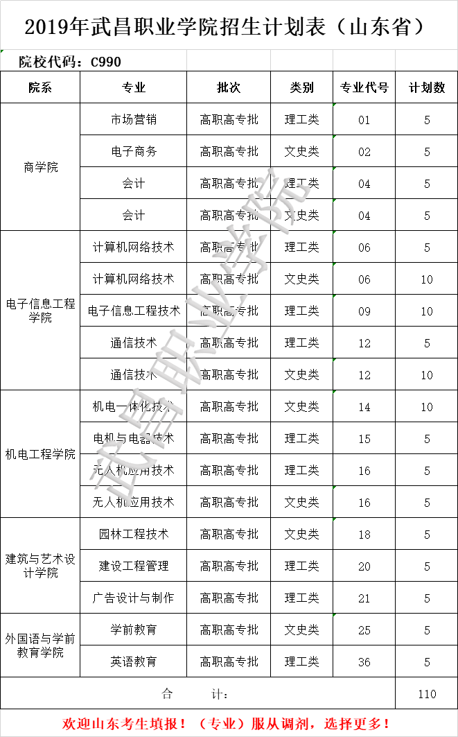 2019武昌职业学院招生计划表山东省