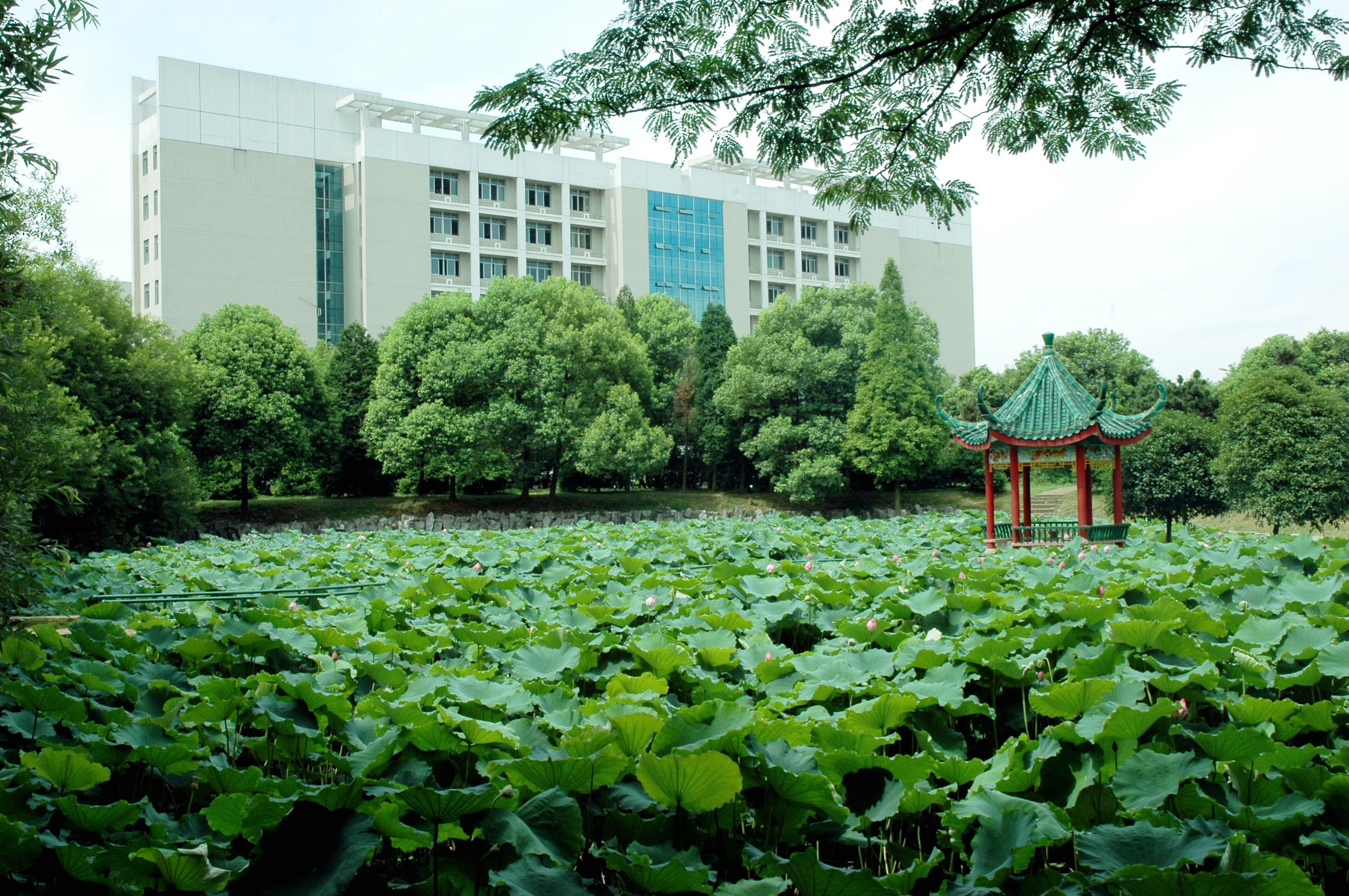 湖南科技学院校园风景图片
