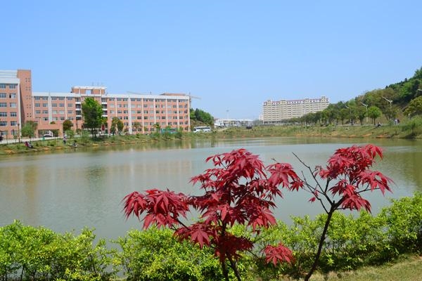中南林业科技大学涉外学院校园风景148505